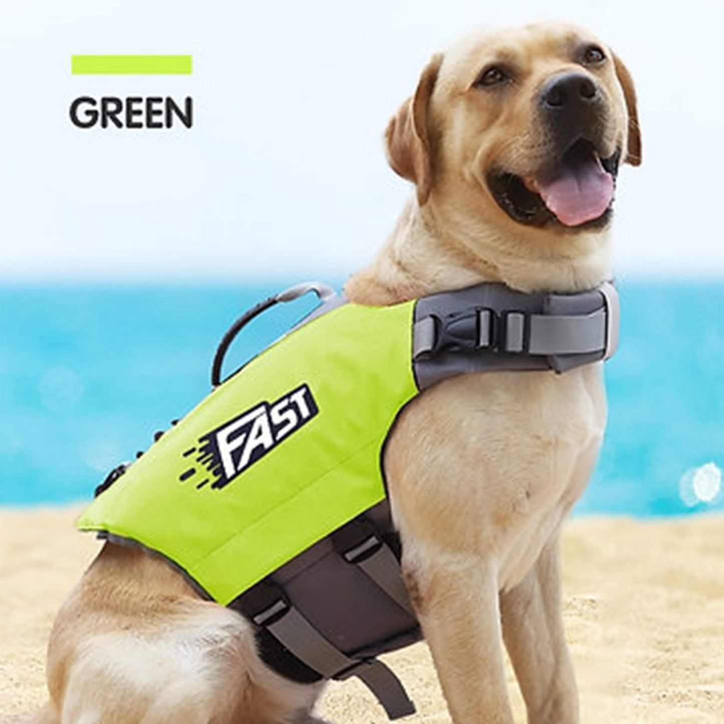 Stylish Dog Life Vest Pet Safety for Water Activities