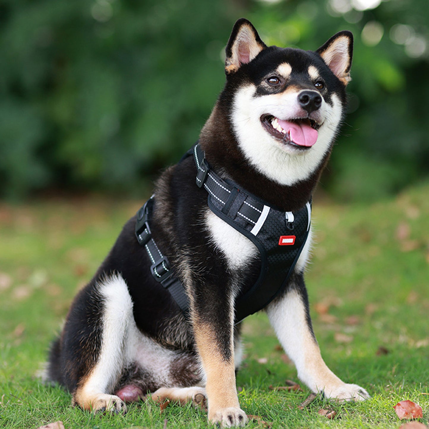 Oxford Reflective Dog Vest Harness