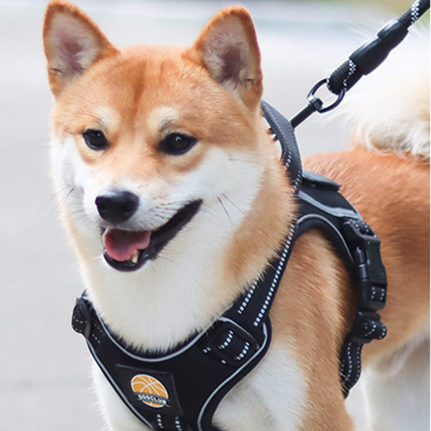Sporty Basketball Style Dog Harness and Leash Set