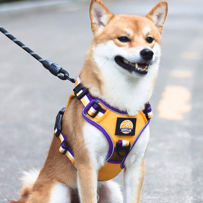 Sporty Basketball Style Dog Harness and Leash Set