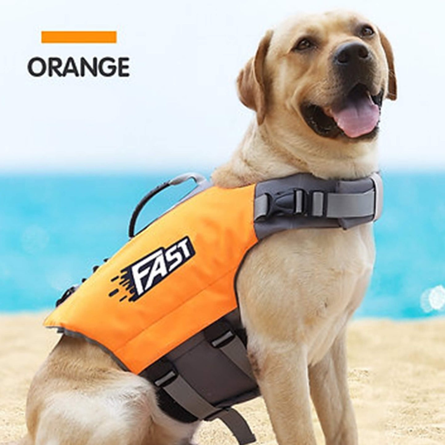 Stylish Dog Life Vest Pet Safety for Water Activities