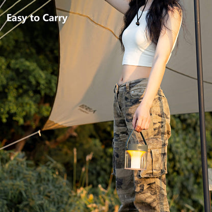 Mosquito Repellent Camping Lantern Rechargeable Ambience Light
