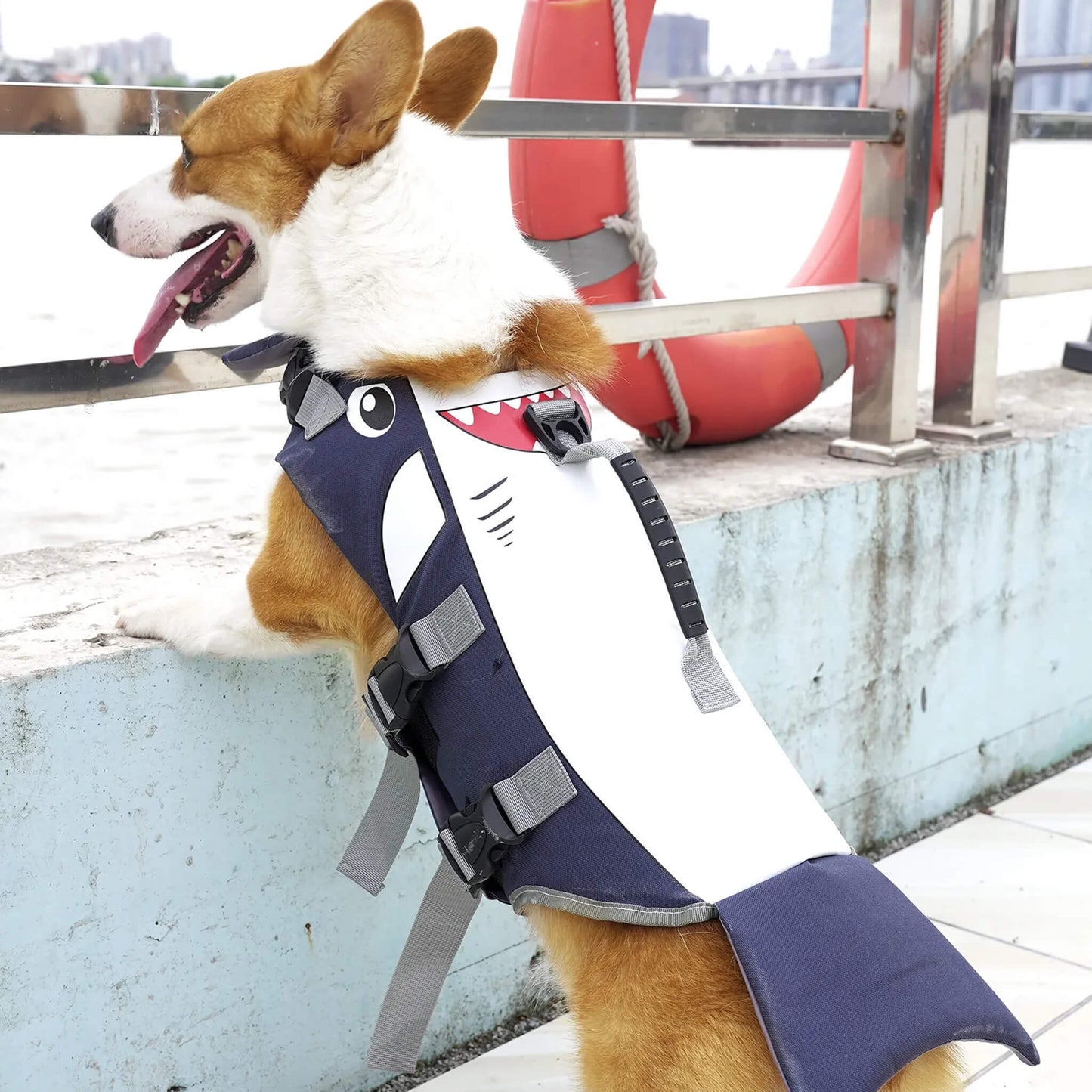 Summer Dog Shark Life Jacket Swimwear