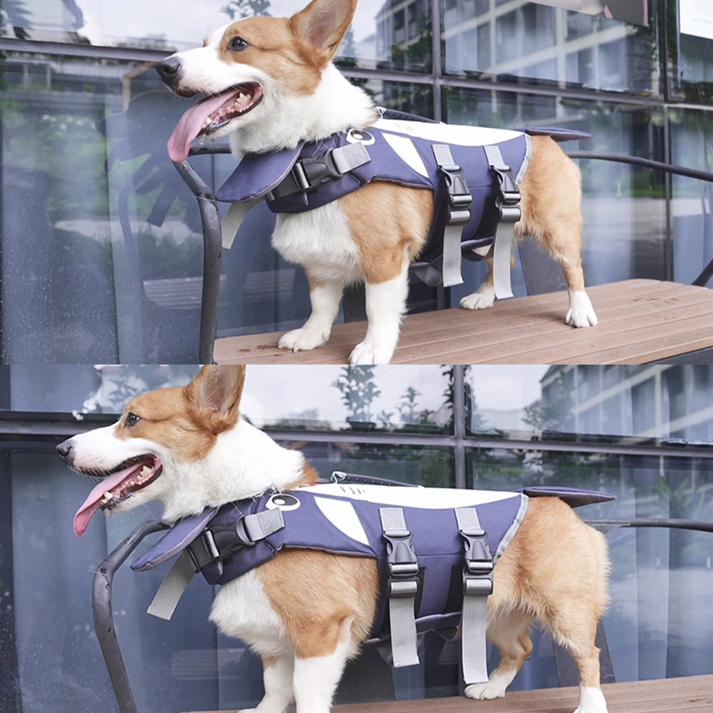 Summer Dog Shark Life Jacket Swimwear