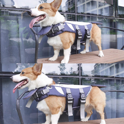 Summer Dog Shark Life Jacket Swimwear