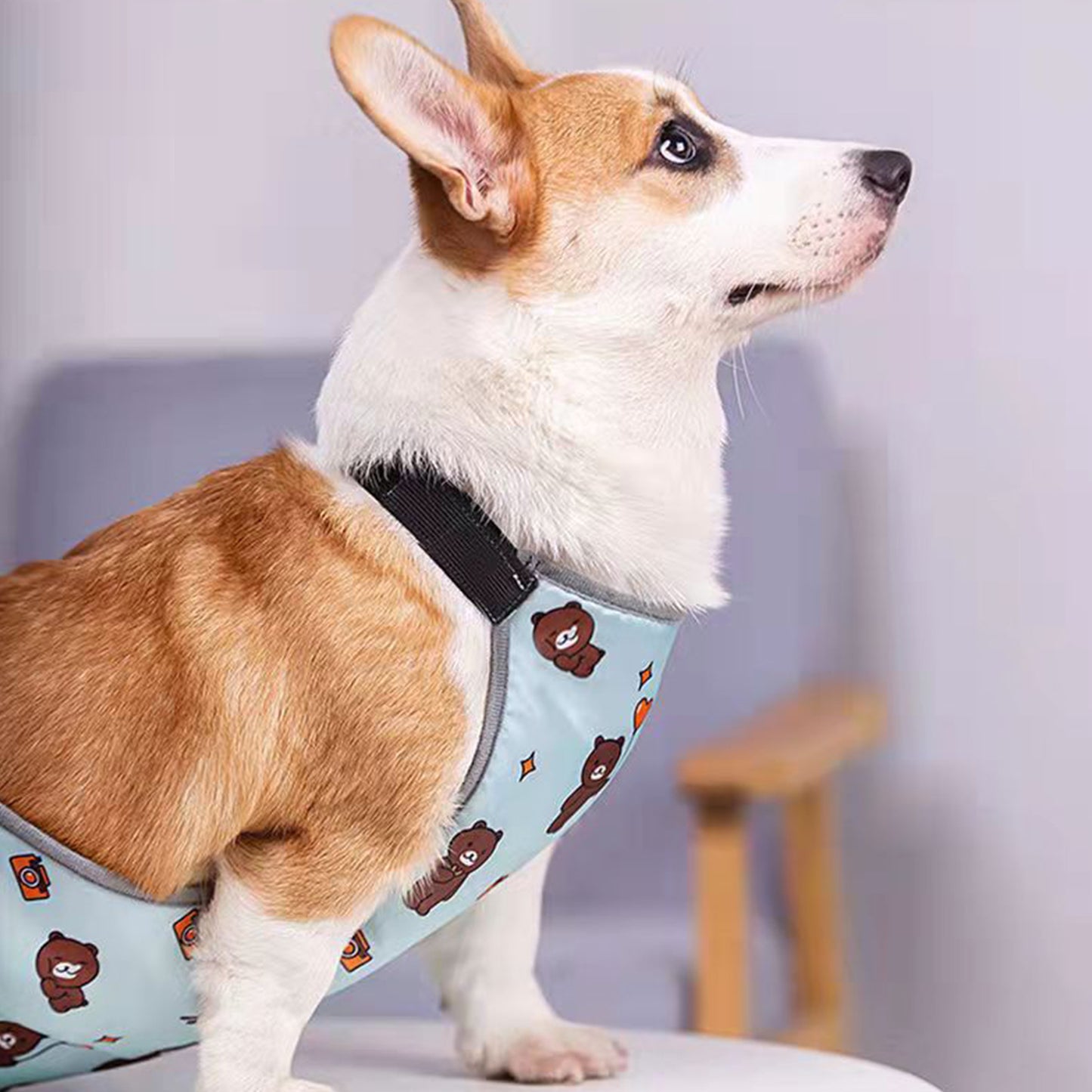 Waterproof Corgi Belly Protector for Short-Legged Dogs