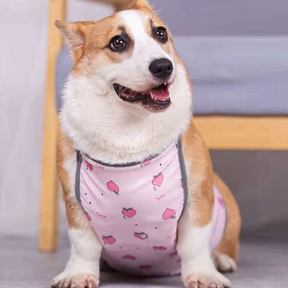 Waterproof Corgi Belly Protector for Short-Legged Dogs