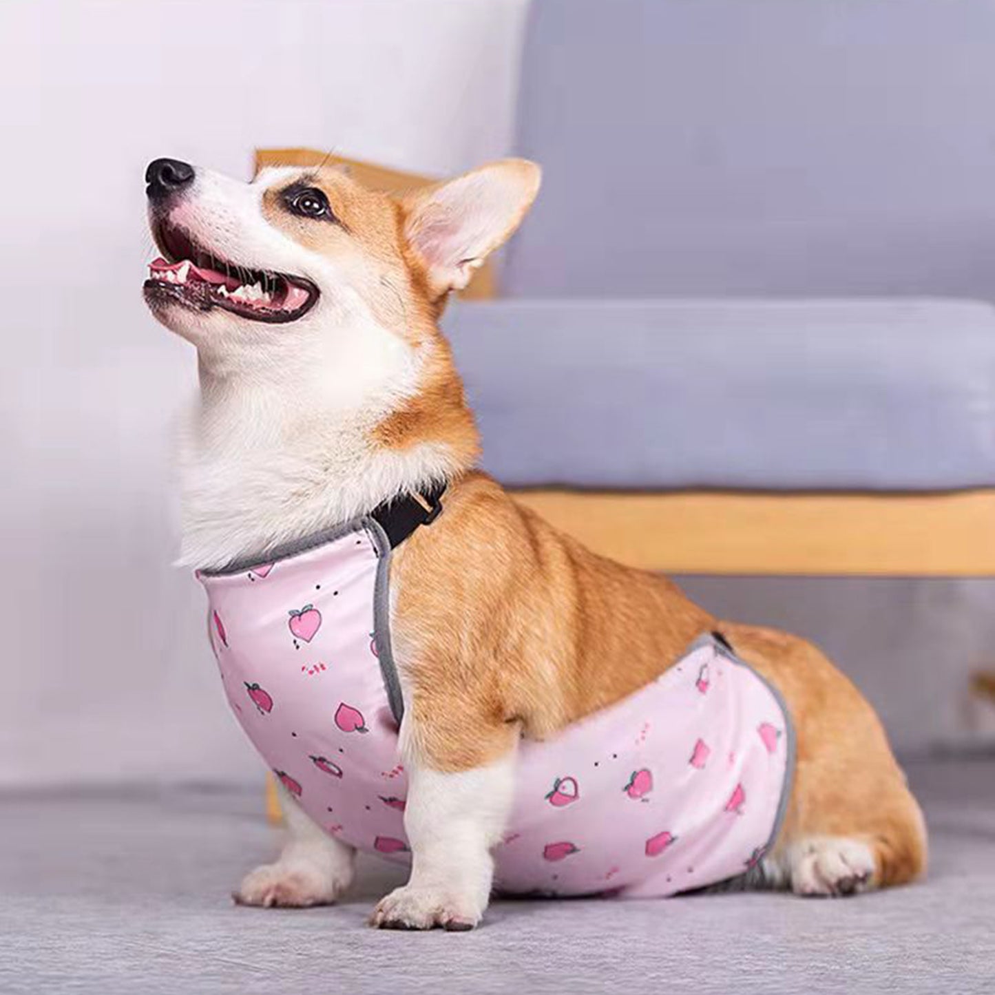 Waterproof Corgi Belly Protector for Short-Legged Dogs