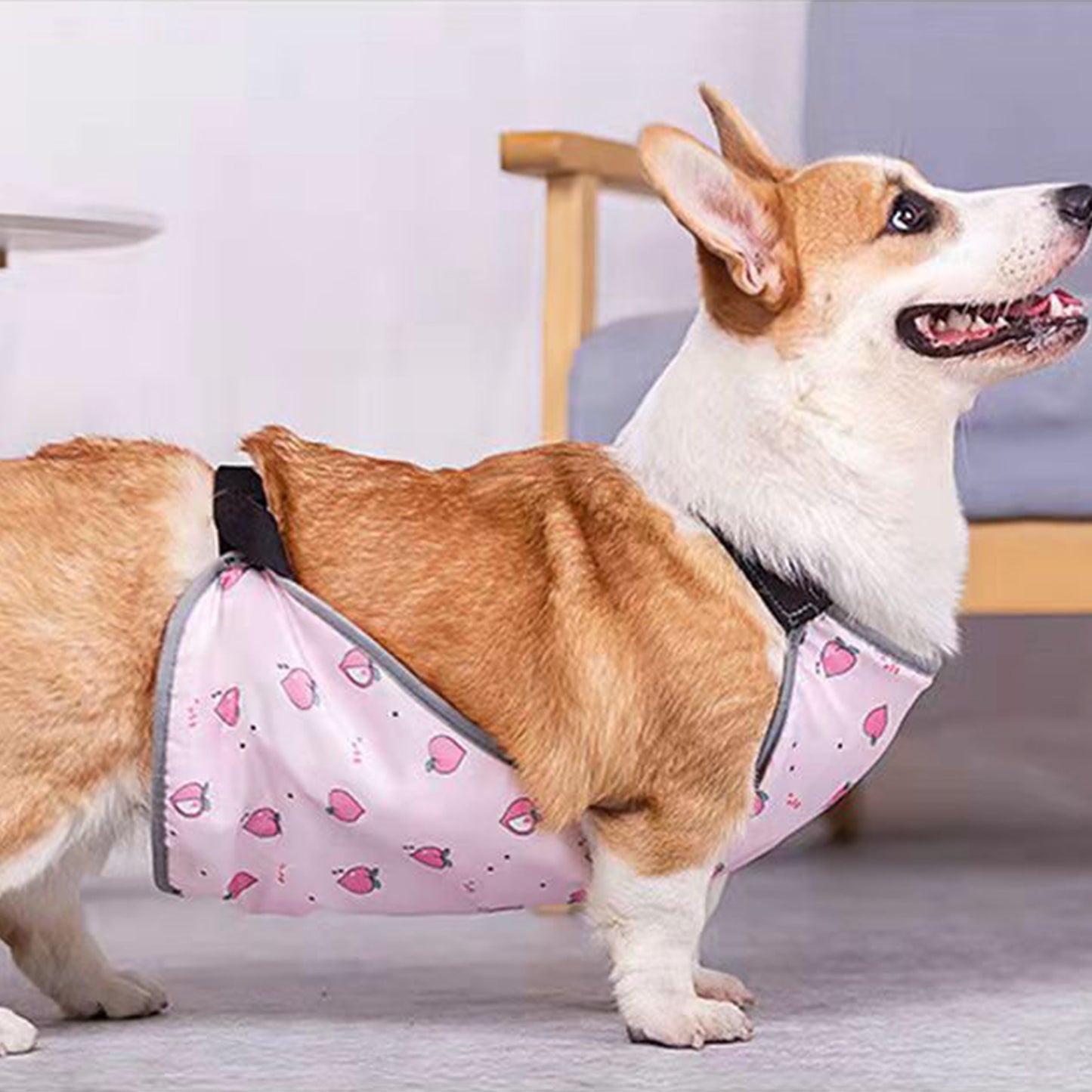 Waterproof Corgi Belly Protector for Short-Legged Dogs