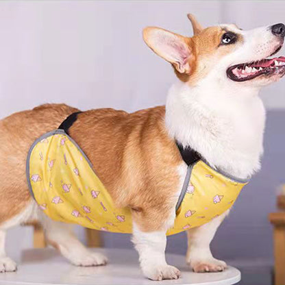 Waterproof Corgi Belly Protector for Short-Legged Dogs