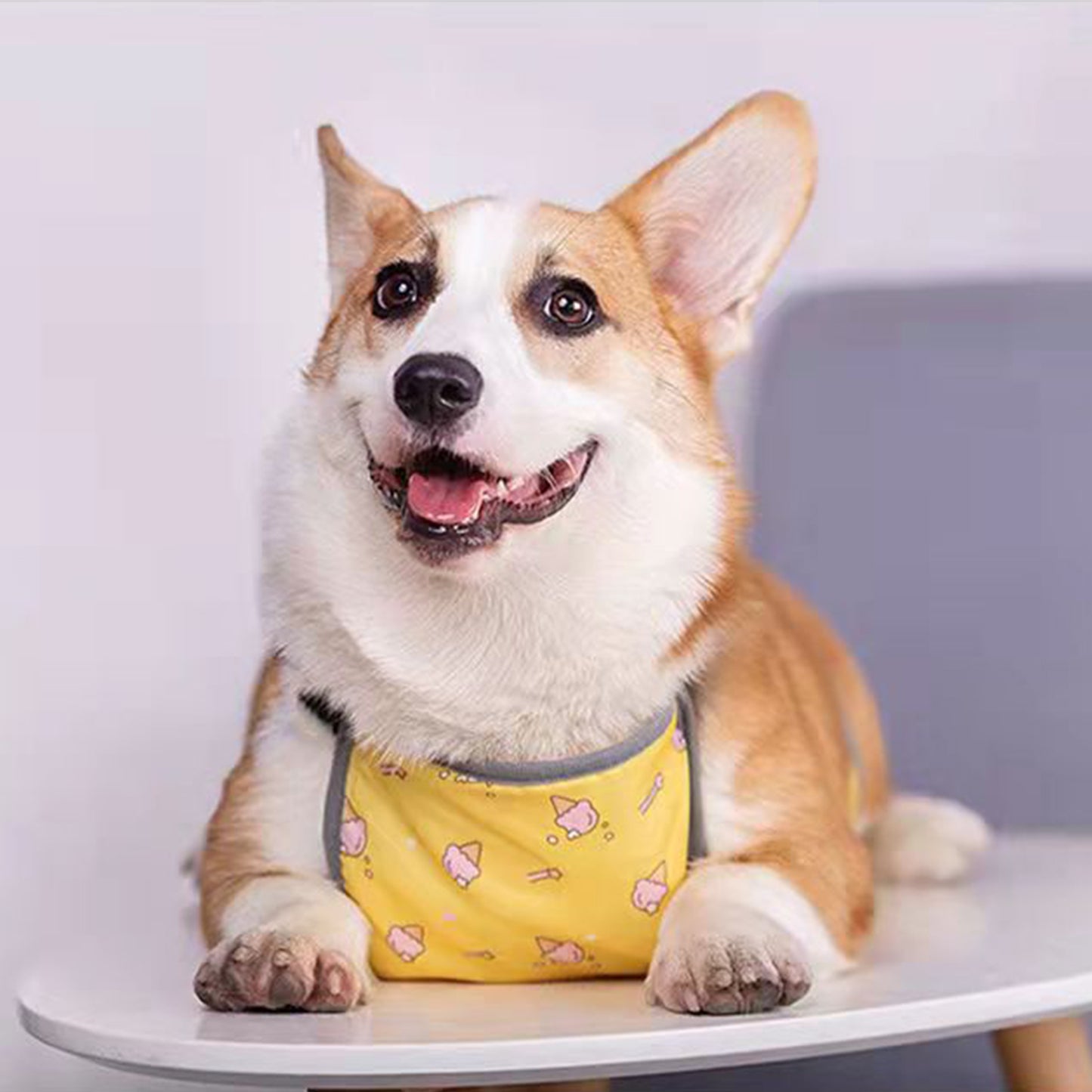Waterproof Corgi Belly Protector for Short-Legged Dogs