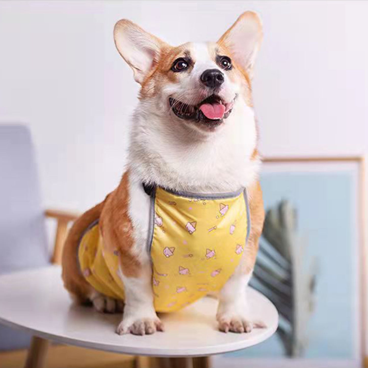 Waterproof Corgi Belly Protector for Short-Legged Dogs