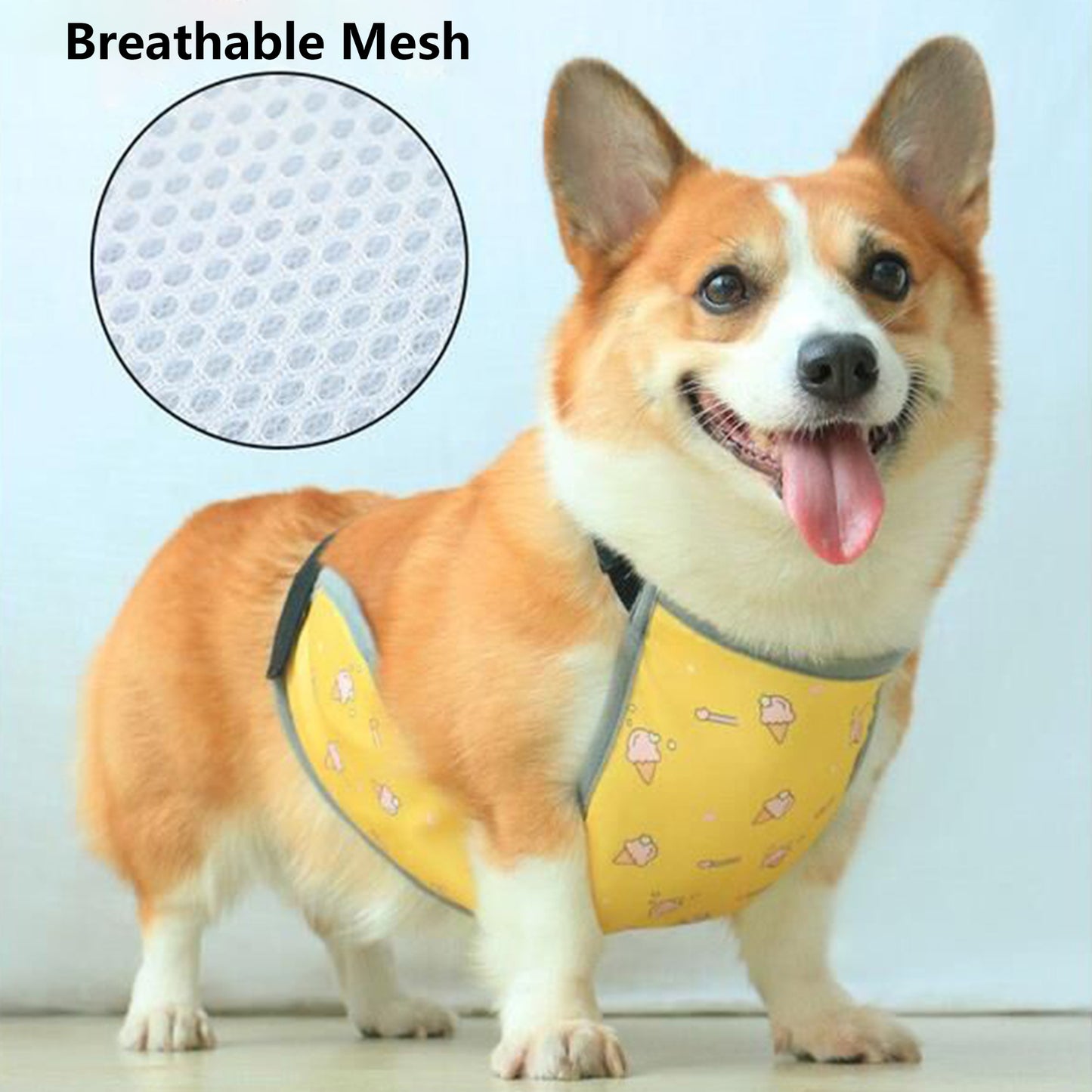 Waterproof Corgi Belly Protector for Short-Legged Dogs