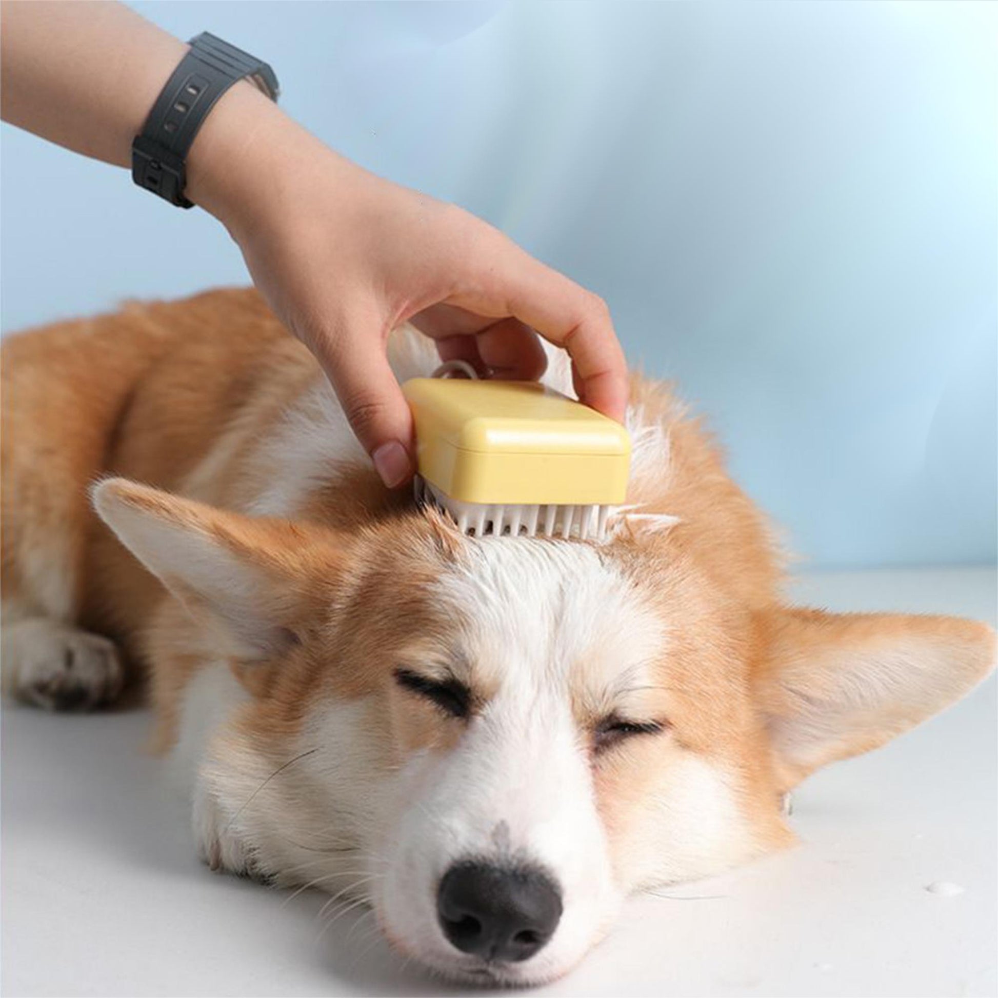 Square Puppy Cat Brush Dog Massage Combs.